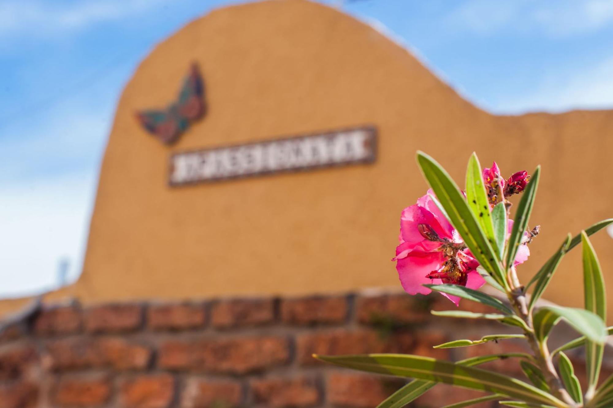 Apassionata Tango Hotel Buenos Aires Ngoại thất bức ảnh